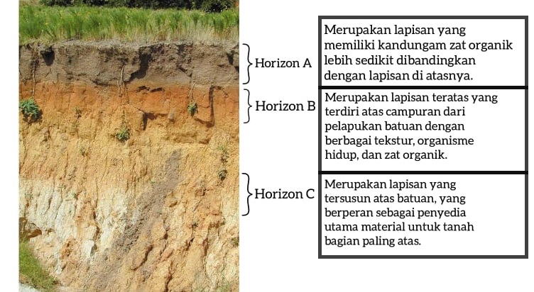 lapisantanah